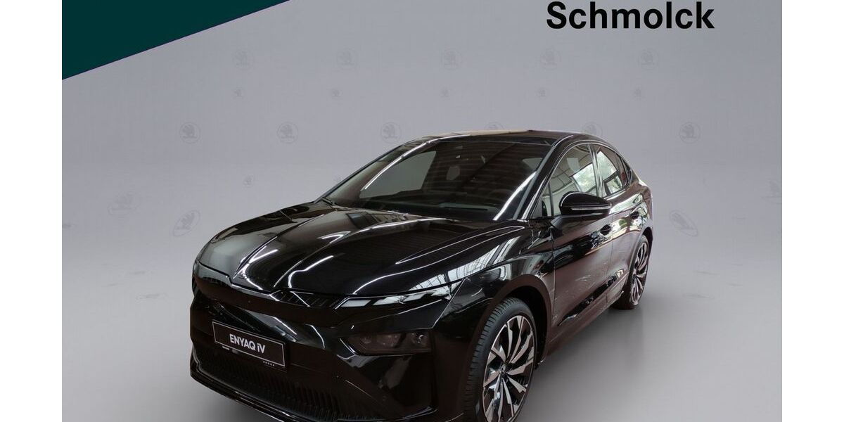 Skoda Enyaq 5.000 km 48.790 &euro; Emmendingen 79312