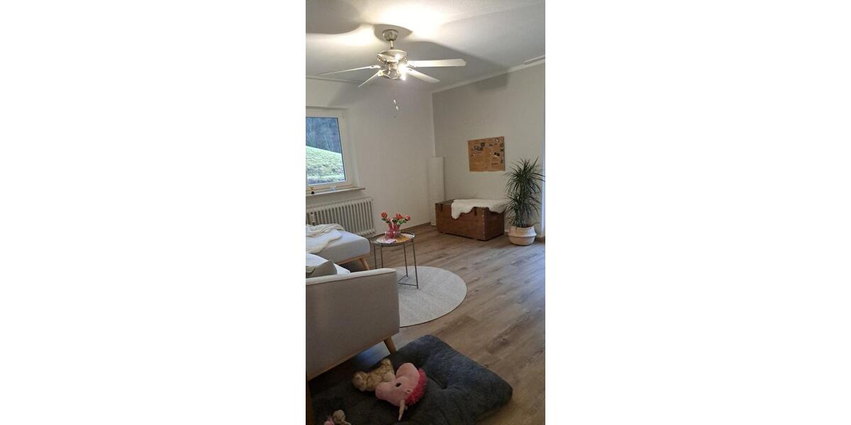 Etagenwohnung Münstertal/Schwarzwald Schwarzwald - 3 Zimmer, 89 m&sup2;, 1.000&euro; | Angebot:24833693