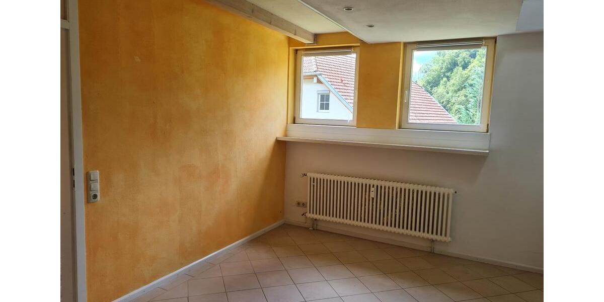 Mehrfamilienhaus, Wohnhaus Schönau im Schwarzwald - 13 Zimmer, 380 m&sup2;, 695.000&euro; | Angebot:27050158