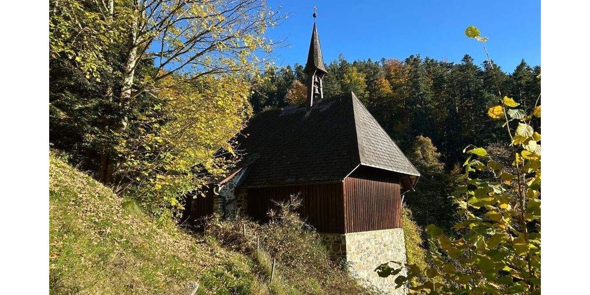 Mehrfamilienhaus, Wohnhaus Buchenbach Wagensteig - 2 Zimmer, 220 m&sup2;, 430.000&euro; | Angebot:25708742