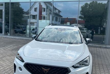 Cupra Formentor 9.000 km 31.980 &euro; Buggingen-Seefelden 79426