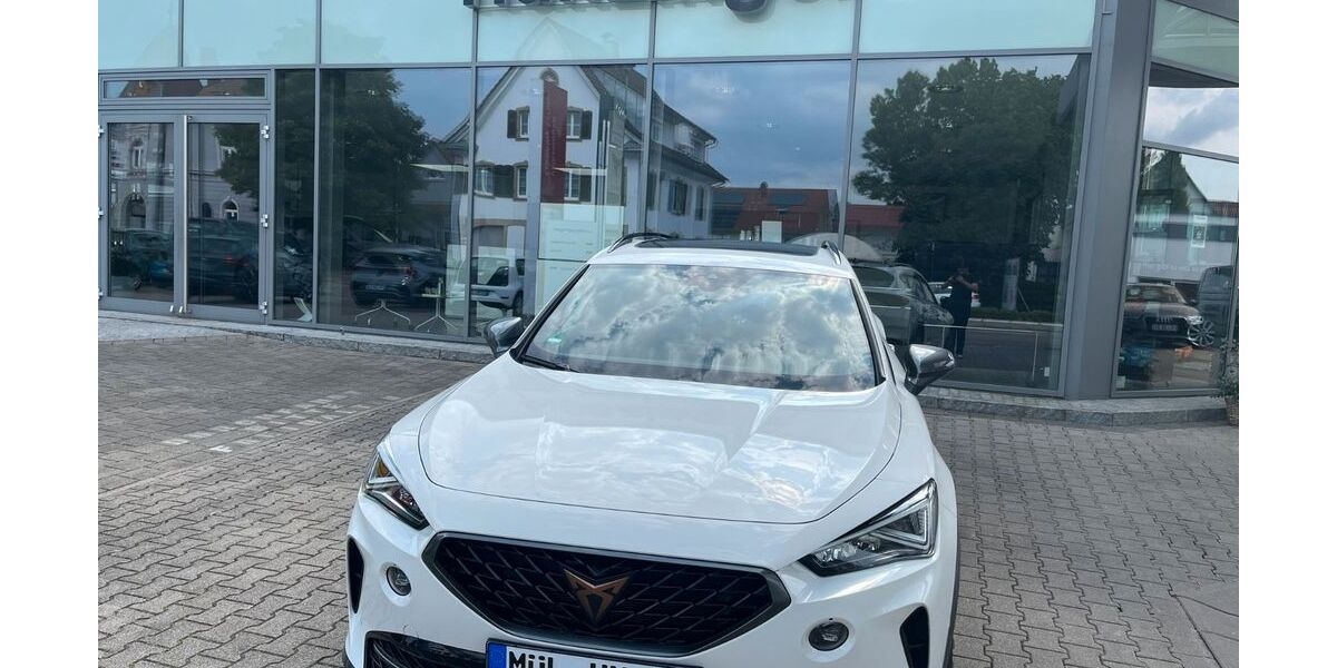 Cupra Formentor 9.000 km 31.980 &euro; Buggingen-Seefelden 79426