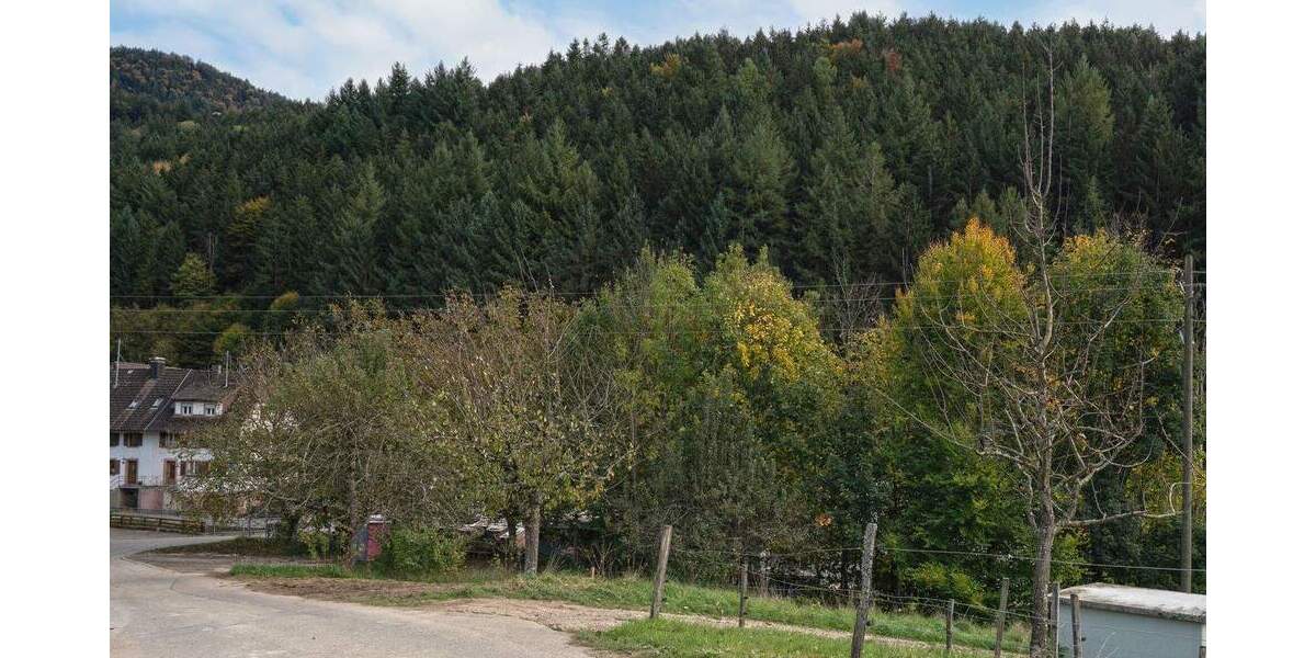 Grundstück Simonswald - 209.000&euro; | Angebot:24043507