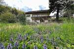 Mehrfamilienhaus, Wohnhaus Müllheim - 9 Zimmer, 240 m&sup2;, 560.000&euro; | Angebot:26435815