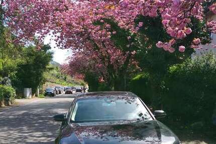 Audi A8 162.000 km 16.500 &euro; Freiburg im Breisgau 79098