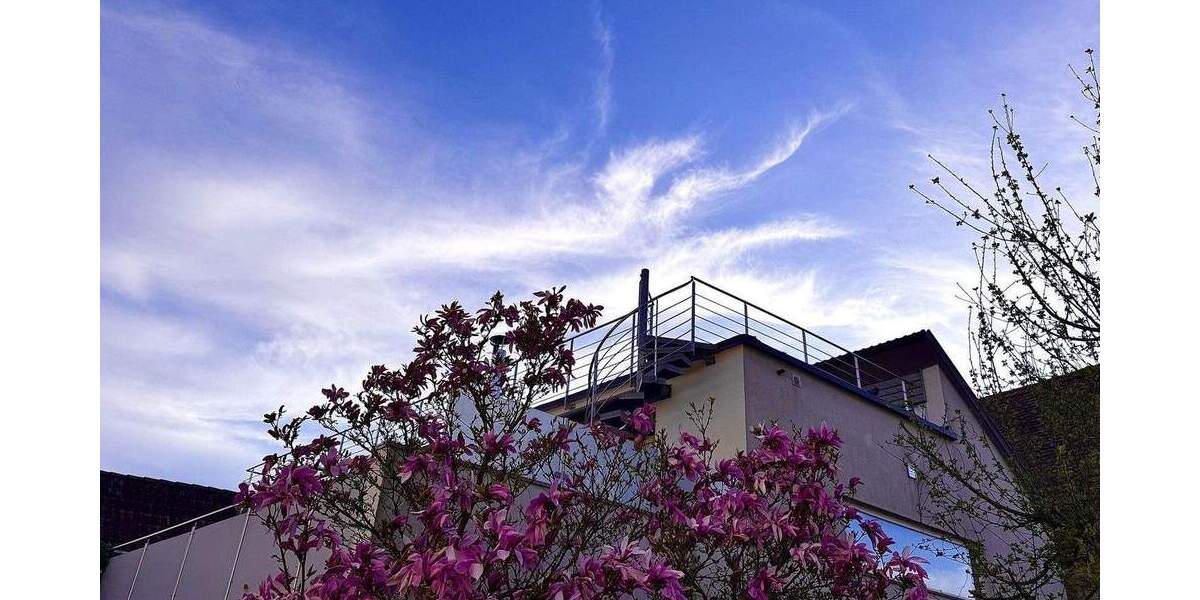 Einfamilienhaus Schallstadt Mengen - 4 Zimmer, 146 m&sup2;, 766.666&euro; | Angebot:24377414