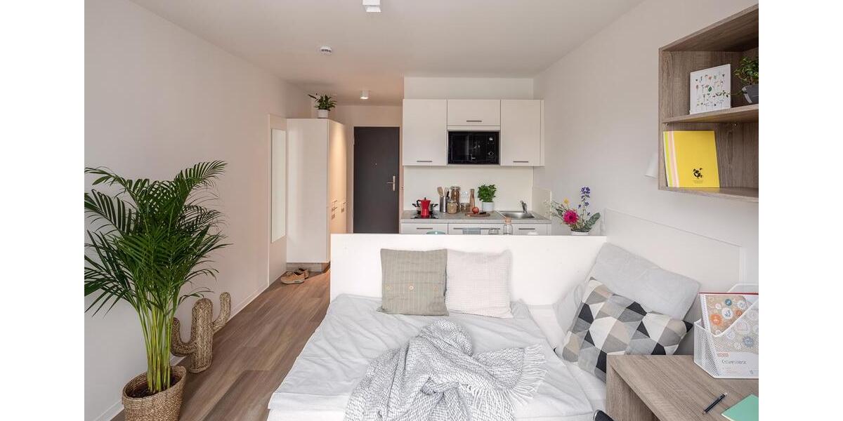 1-Zimmer-Wohnung 1 zimmer