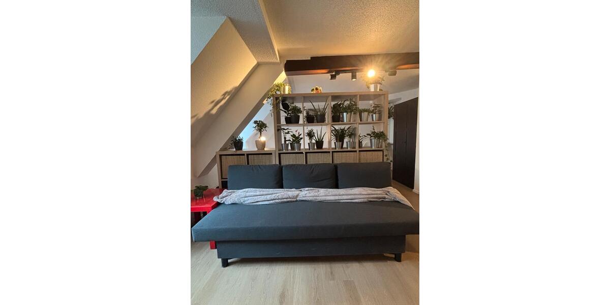 Dachgeschoßwohnung Freiburg im Breisgau - 1 Zimmer, 28 m&sup2;, 362.000&euro; | Angebot:24945201