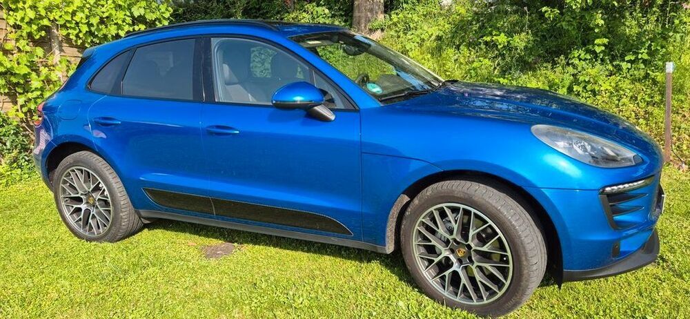 Macan