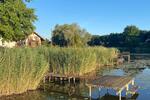 Traumhaus am See – mit Angelsteg – naturnah – absolut ruhig zimmer