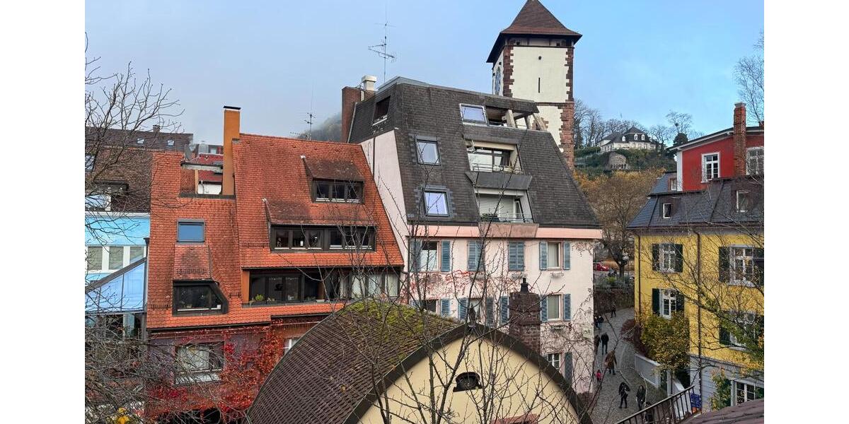 Mehrfamilienhaus, Wohnhaus Freiburg im Breisgau - 2 Zimmer, 77 m&sup2;, 440.000&euro; | Angebot:24870937