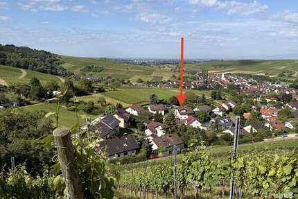 Wohnung Pfaffenweiler - 4 Zimmer, 140 m&sup2;, 699.000&euro; | Angebot:26932342