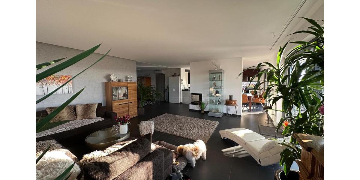 Einfamilienhaus Breisach am Rhein - 4 Zimmer, 150 m&sup2;, 570.000&euro; | Angebot:25899992