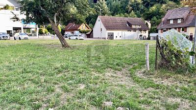 1976 M² & ZWEI GROSSE BAUFENSTER - Grundstück Münstertal | Angebot:27354816