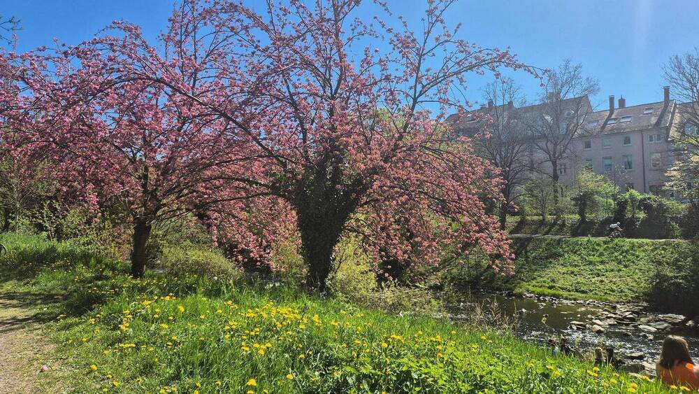 Einfamilienhaus Freiburg Oberau - 150&euro; | Angebot:23802082