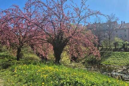 Haus Freiburg Oberau - 150&euro; | Angebot:23802082