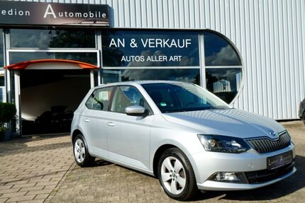 Skoda Fabia 110.000 km 11.800 € Gundelfingen /Freiburg 79194