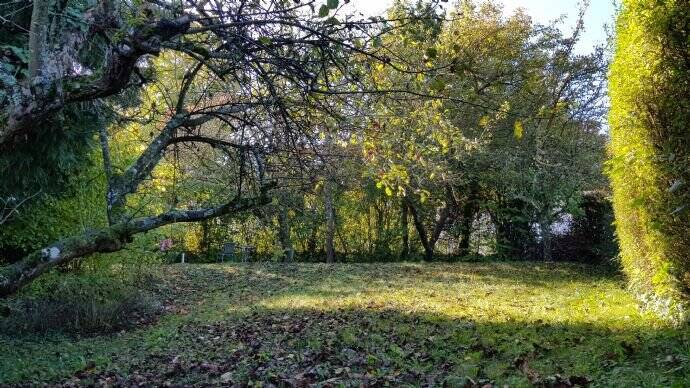 Terrassenwohnung Müllheim - 1 Zimmer, 50 m&sup2;, 269.000&euro; | Angebot:25691619