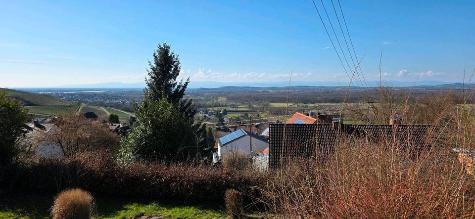 Erdgeschoßwohnung Schallstadt - 4 Zimmer, 105 m&sup2;, 1.000&euro; | Angebot:25308120