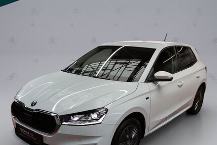 Skoda Fabia 24.200 km 20.890 &euro; Emmendingen 79312