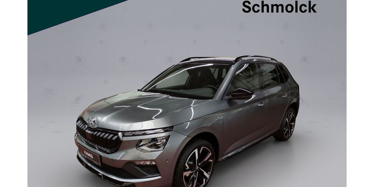 Skoda Kamiq 3.000 km 31.790 &euro; Emmendingen 79312