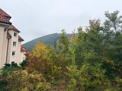 FERTIGES PROJEKT SUCHT UMSETZUNG! - Grundstück Badenweiler | Angebot:25971013