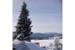 Mehrfamilienhaus, Wohnhaus Breitnau - 11 Zimmer, 240 m&sup2;, 669.000&euro; | Angebot:27267548