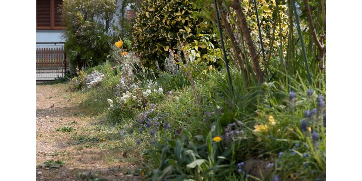 Doppelhaushälfte Freiburg im Breisgau Betzenhausen - 3.5 Zimmer, 100 m&sup2;, 1.650&euro; | Angebot:23915837