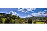 Terrassenwohnung Waldkirch - 5.5 Zimmer, 196 m&sup2;, 1.174.999&euro; | Angebot:26313801
