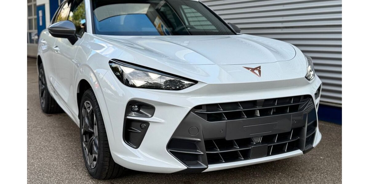 Cupra Terramar 7.000 km 40.990 &euro; Titisee-Neustadt 79822