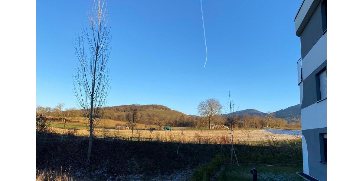 sehr moderne und lichtdurchflutete Wohnung in Müllheim 2 zimmer