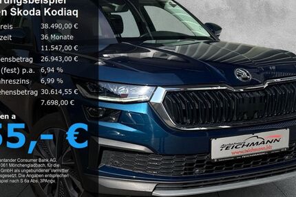 Skoda Kodiaq 74.056 km 38.490 € Todtnau 79674