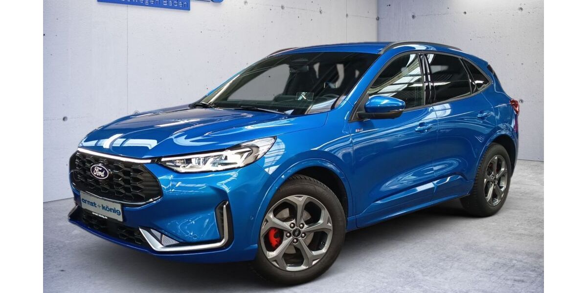 Ford Kuga 16.800 km 37.990 &euro; Freiburg im Breisgau 79108