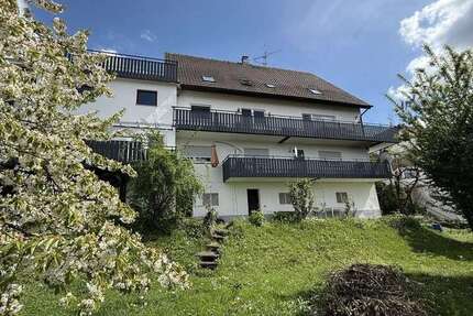 Haus zum Kaufen in Breisach 1.690.000 € 490 m²