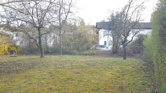 Terrassenwohnung Müllheim - 1 Zimmer, 50 m&sup2;, 269.000&euro; | Angebot:24044195