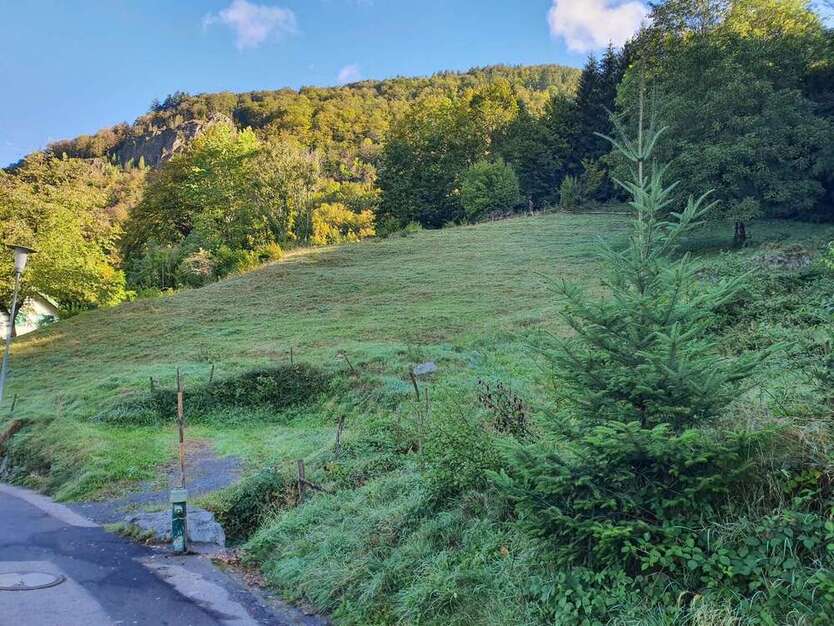 Grundstück zu verkaufen in Todtnau 250.000 € 3612 m²
