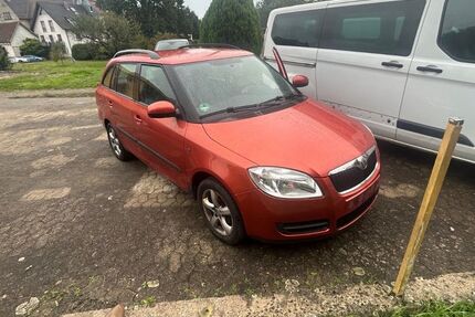 Skoda Fabia 110.234 km 2.290 € Vogtsburg im Kaiserstuhl 79235