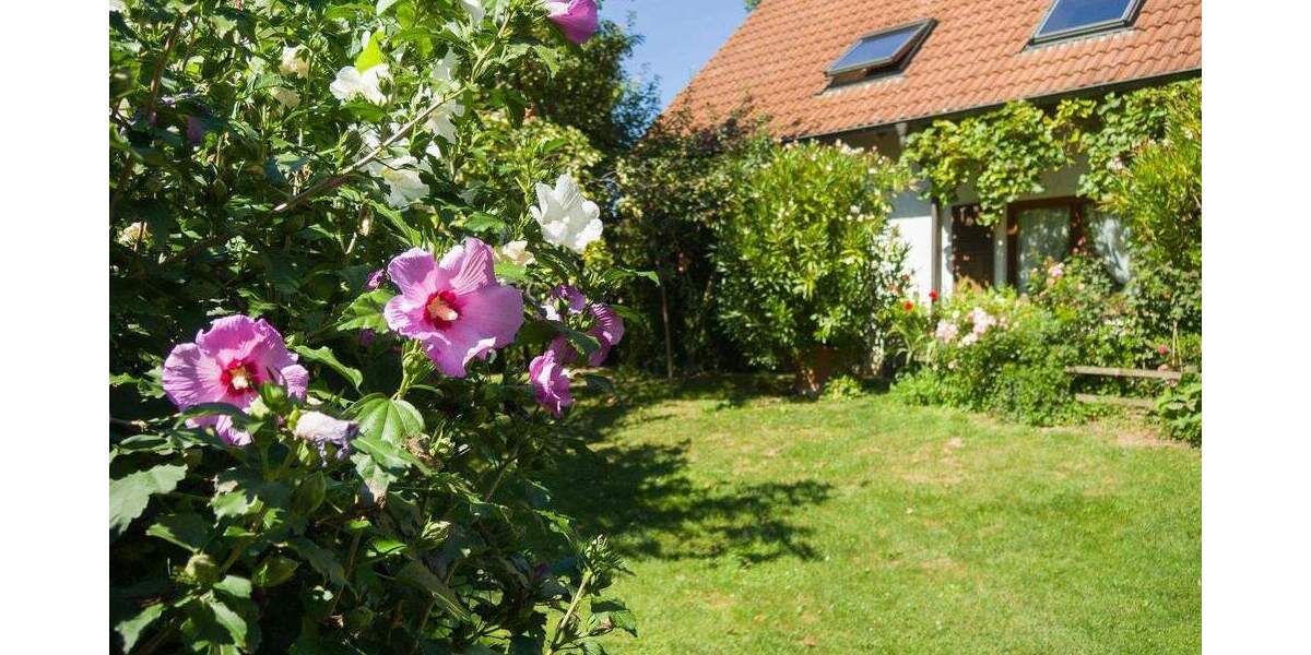 Einfamilienhaus Freiburg Munzingen - 1 Zimmer, 296 m&sup2;, 1.800.000&euro; | Angebot:25168304