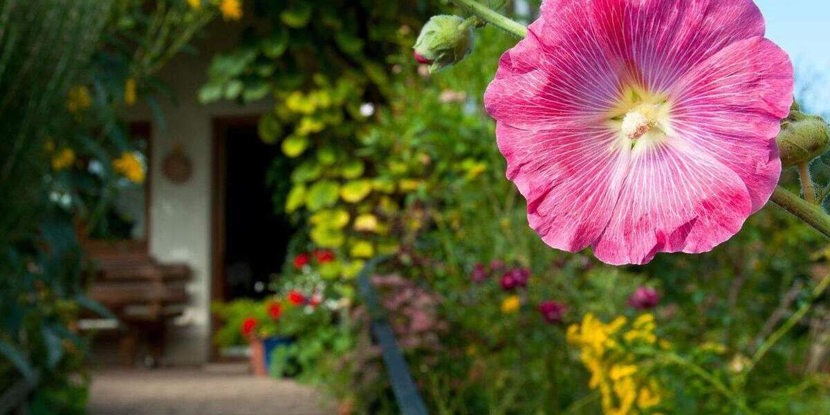 Einfamilienhaus Freiburg Munzingen - 1 Zimmer, 296 m&sup2;, 1.800.000&euro; | Angebot:25168304