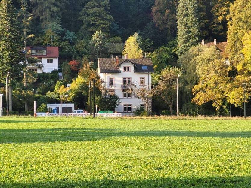 Gründerzeit 4-FamHs + Fabrik-Loft + ideal f. Käufer-Gruppe + 405qm WNF + 528qm GS + Gartenhs + Paradiesgarten + teilbar in Teileigentum 1 zimmer