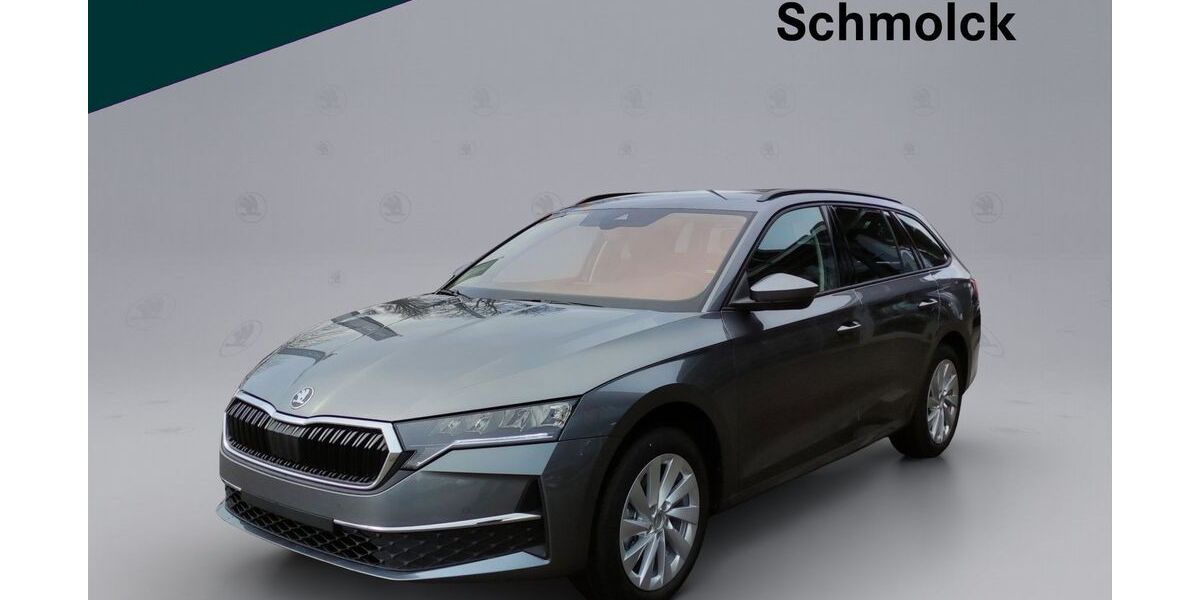 Skoda Octavia 41.000 km 30.890 &euro; Emmendingen 79312