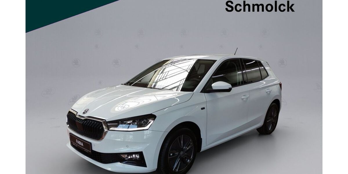 Skoda Fabia 18.000 km 17.690 &euro; Emmendingen 79312
