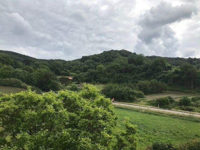 Etagenwohnung Endingen Kiechlinsbergen - 2 Zimmer, 67 m&sup2;, 715&euro; | Angebot:26187779