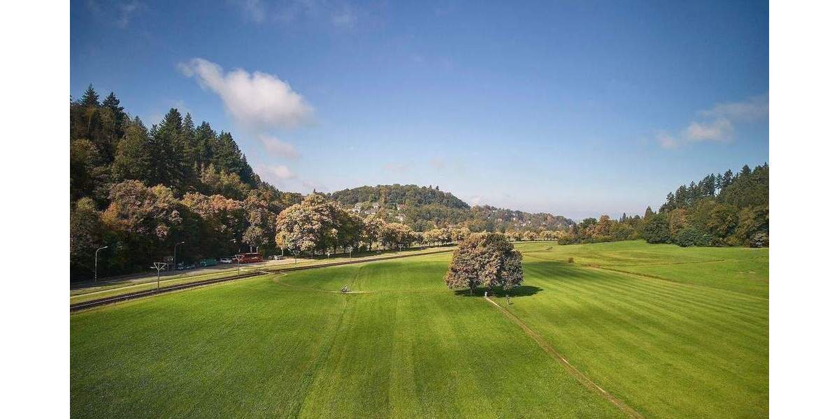 Mehrfamilienhaus, Wohnhaus Freiburg im Breisgau Günterstal - 1 Zimmer, 405 m&sup2;, 1.820.000&euro; | Angebot:25939281