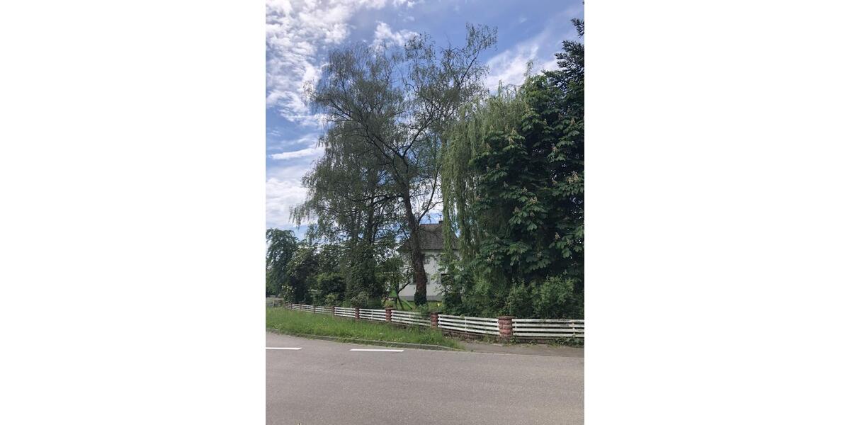Einfamilienhaus Riegel am Kaiserstuhl - 4.5 Zimmer, 150 m&sup2;, 1.600&euro; | Angebot:26592161