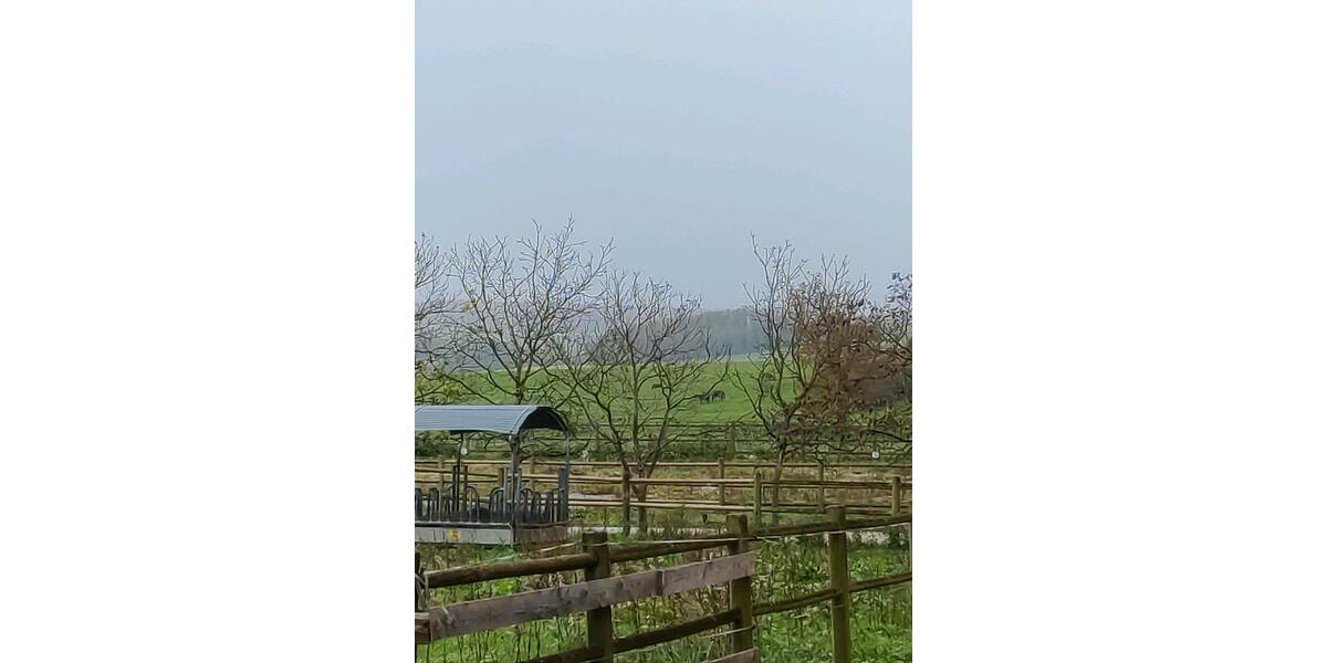 Einfamilienhaus Freiburg im Breisgau Brühl - 7 Zimmer, 250 m&sup2;, 1.380.000&euro; | Angebot:23603885