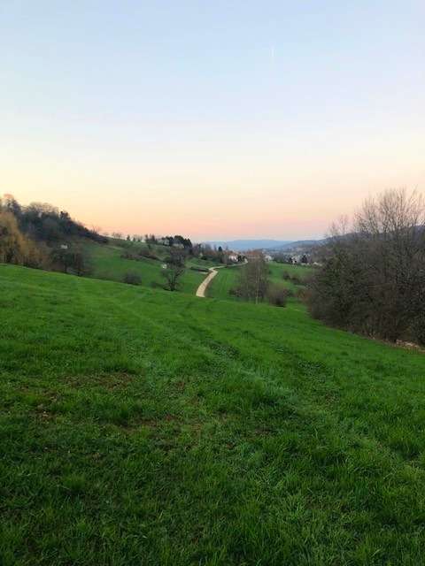 Grundstück zu verkaufen in Wittnau 1.000.000 € 1458 m²