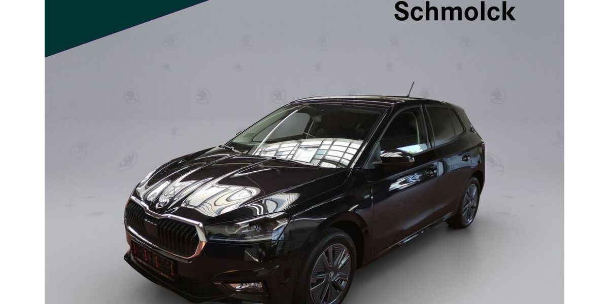 Skoda Fabia 9.000 km 17.390 &euro; Emmendingen 79312