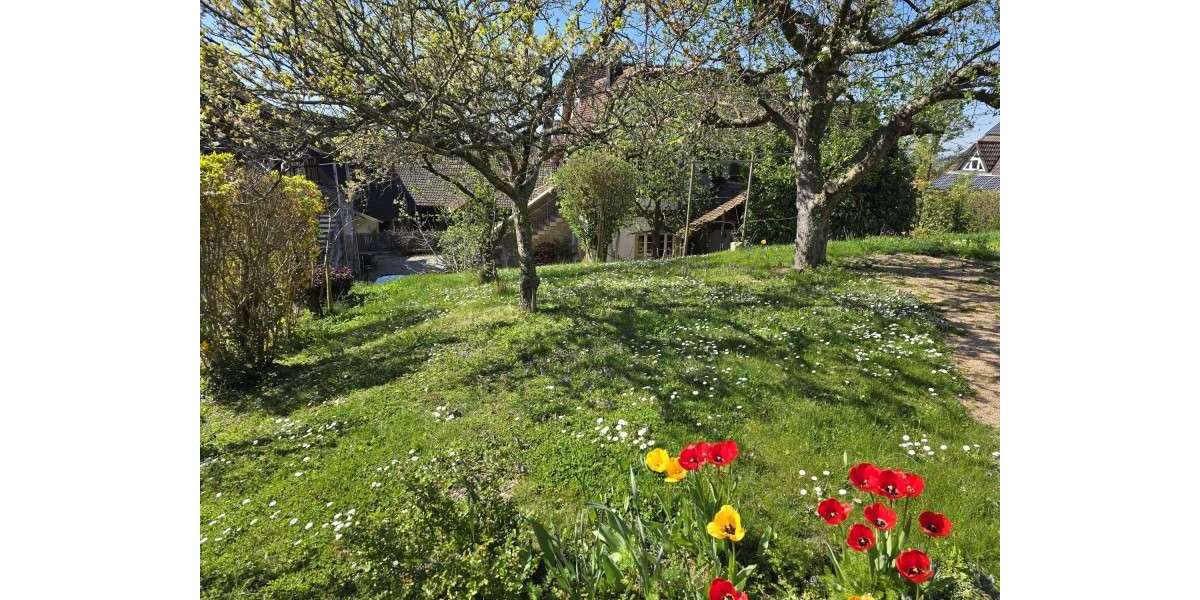 Grundstück Müllheim - 130.000&euro; | Angebot:26403457