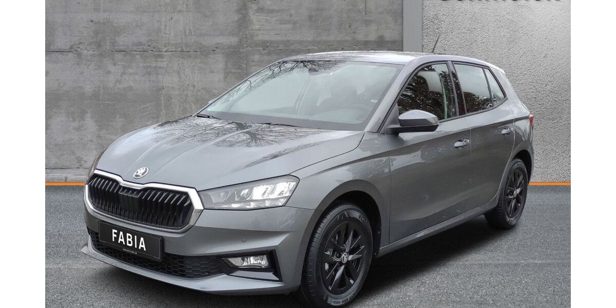 Skoda Fabia 32.900 km 16.490 &euro; Emmendingen 79312